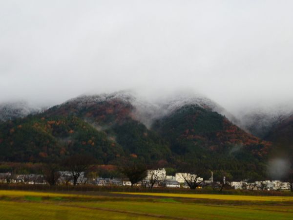 みのハイキングクラブ忘年登山　百々ｹ峰登山(418M)_d0170615_09330442.jpg