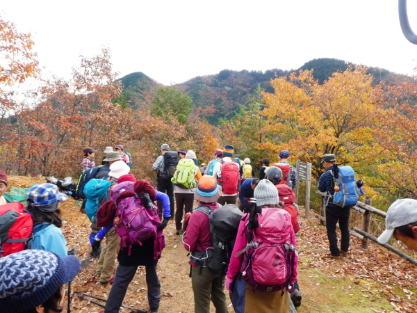 みのハイキングクラブ忘年登山　百々ｹ峰登山(418M)_d0170615_09334071.jpg