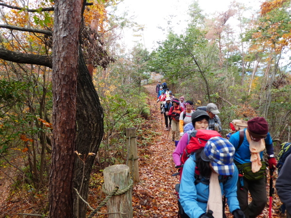 みのハイキングクラブ忘年登山　百々ｹ峰登山(418M)_d0170615_09335458.jpg