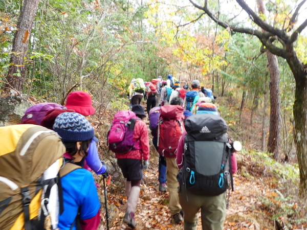 みのハイキングクラブ忘年登山　百々ｹ峰登山(418M)_d0170615_09340249.jpg