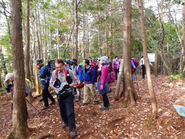 みのハイキングクラブ忘年登山　百々ｹ峰登山(418M)_d0170615_09341582.jpg