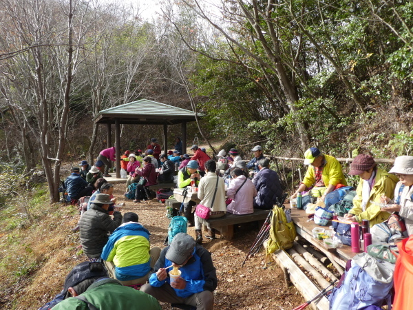 みのハイキングクラブ忘年登山　百々ｹ峰登山(418M)_d0170615_09344755.jpg