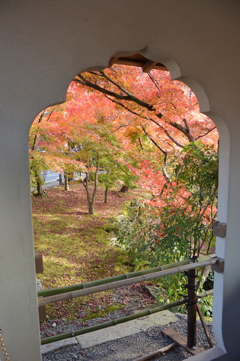 2018年11月『京都の紅葉』 November 2018 \"The Autumn of Kyoto\"_c0219616_19495320.jpg