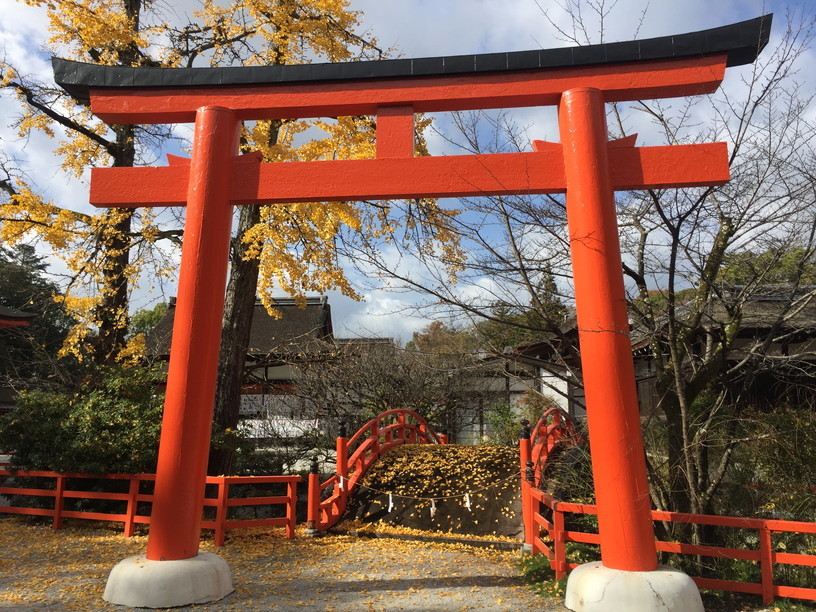 2018年11月『京都の紅葉』 November 2018 \"The Autumn of Kyoto\"_c0219616_20154853.jpg