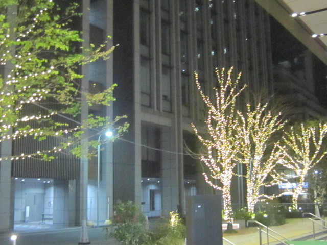 d0162225_22570000.jpg