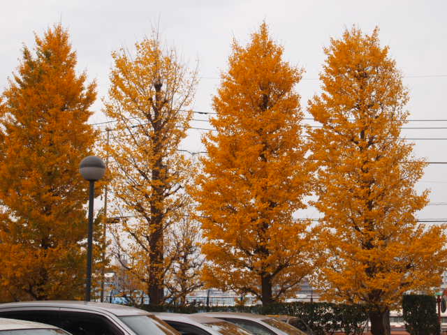 a0214329_22251546.jpg