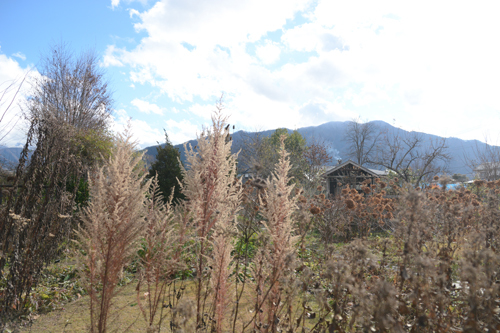 c0107129_02581355.jpg