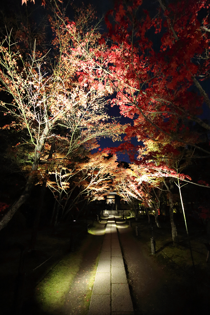 紅葉の京都2018 －一休寺 秋の境内特別ライトアップ（後編）－_b0169330_23255593.jpg