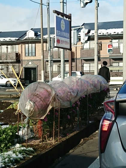 f0118332_21574087.jpg