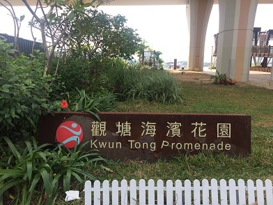 f0371533_10515483.jpg