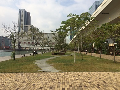 f0371533_10563347.jpg