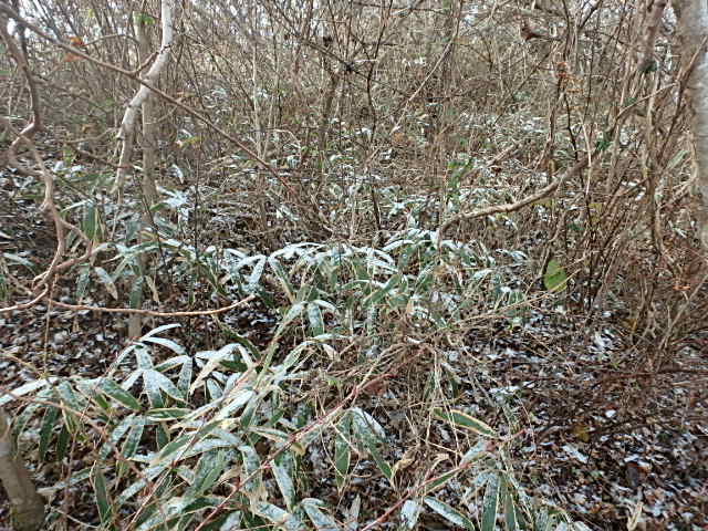 f0334143_8401624.jpg