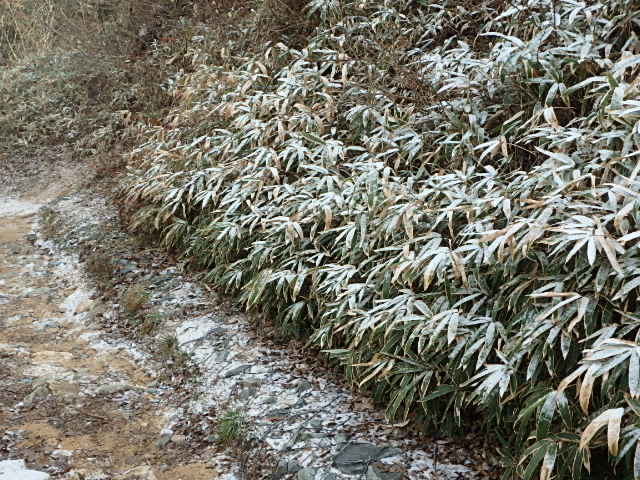 f0334143_8403869.jpg