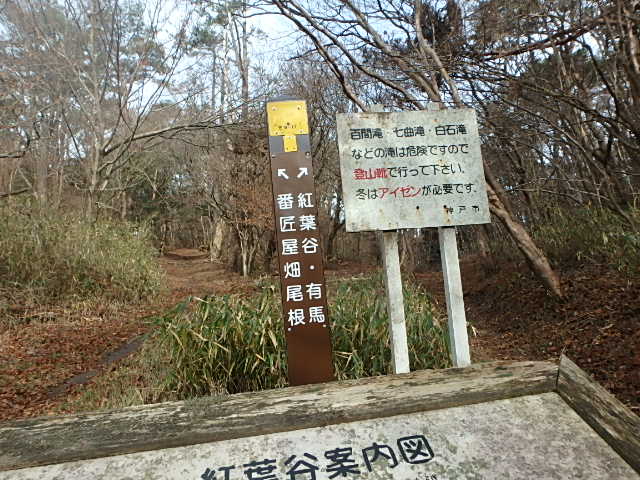 f0334143_8422641.jpg