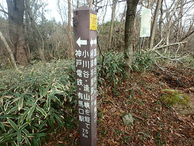 f0334143_8424545.jpg