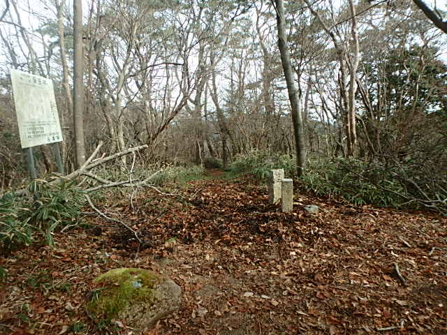 f0334143_842511.jpg