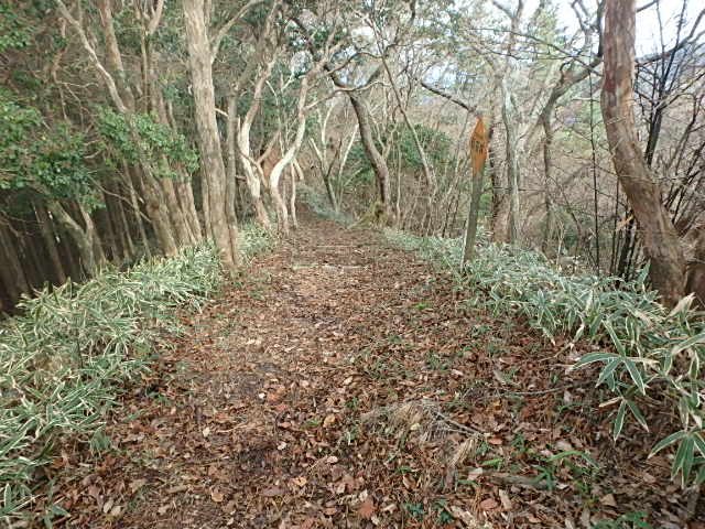f0334143_8425765.jpg