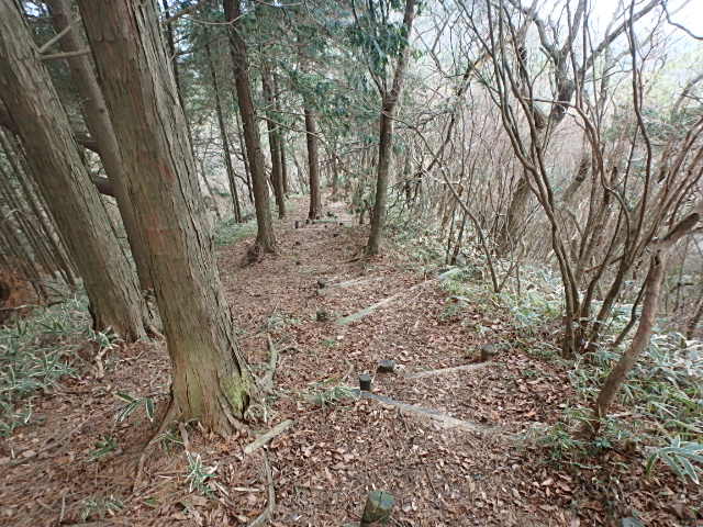 f0334143_843284.jpg