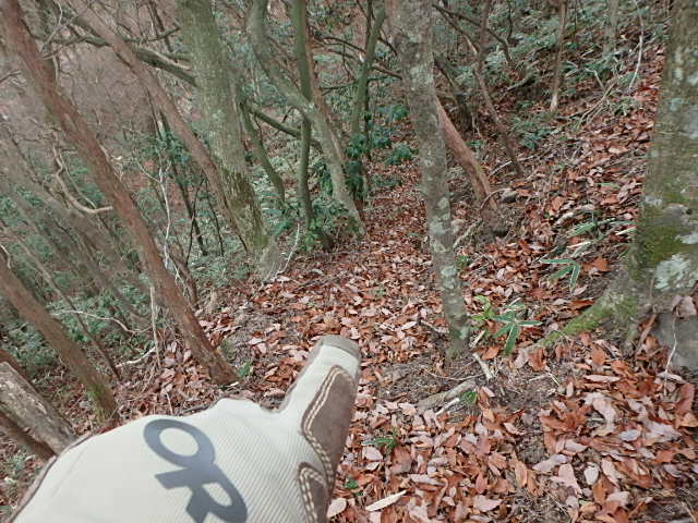 f0334143_8443044.jpg