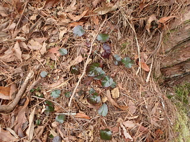f0334143_8461873.jpg