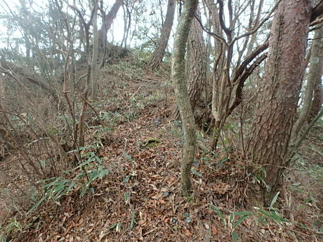 f0334143_846815.jpg