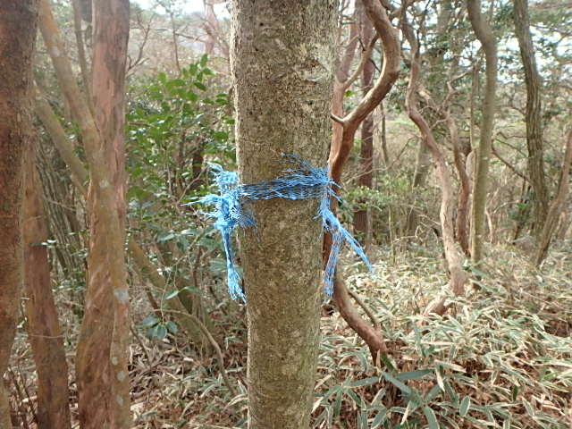 f0334143_8475197.jpg
