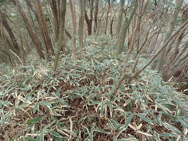 f0334143_848116.jpg