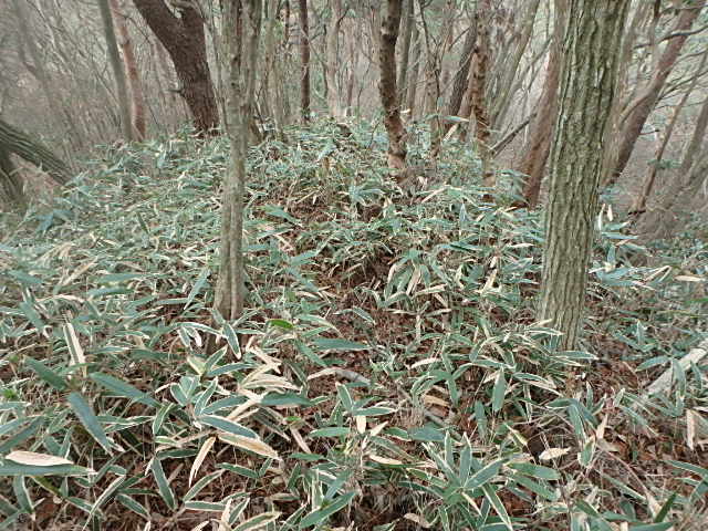 f0334143_8483883.jpg