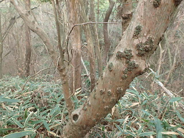 f0334143_8504046.jpg