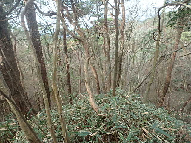 f0334143_8512143.jpg