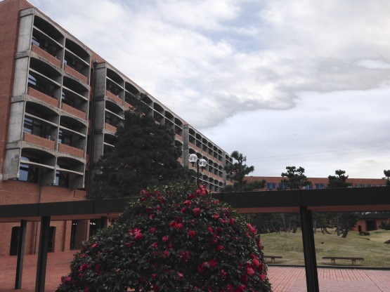 b0206845_14112646.jpg