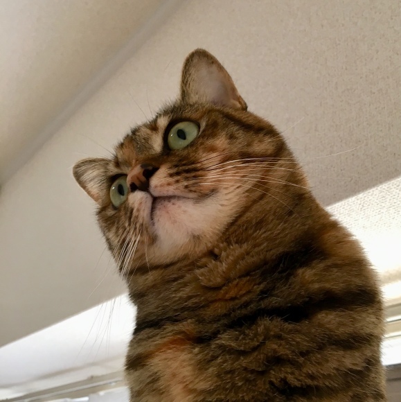 f0372445_13212660.jpeg
