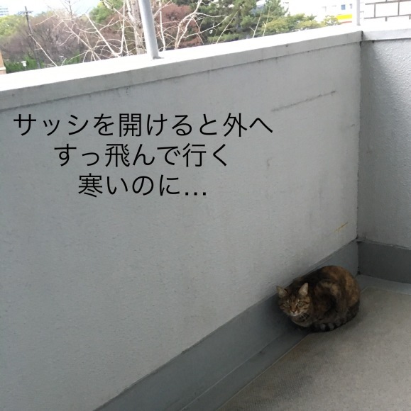 f0372445_13215352.jpeg