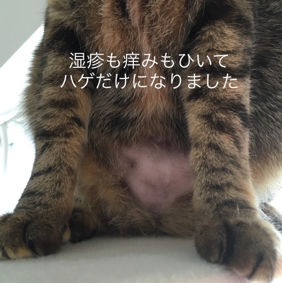 f0372445_13220513.jpeg