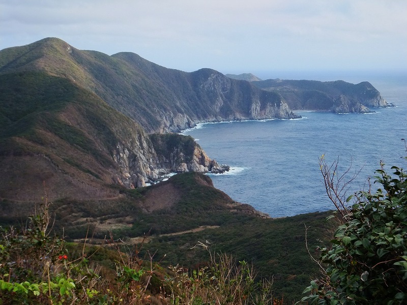 d0048350_19372831.jpg