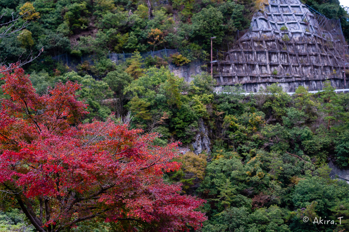 京都の紅葉 2018 〜16〜_f0152550_21545320.jpg