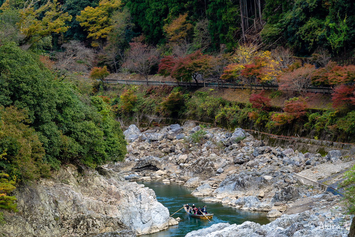 京都の紅葉 2018 〜16〜_f0152550_21551708.jpg