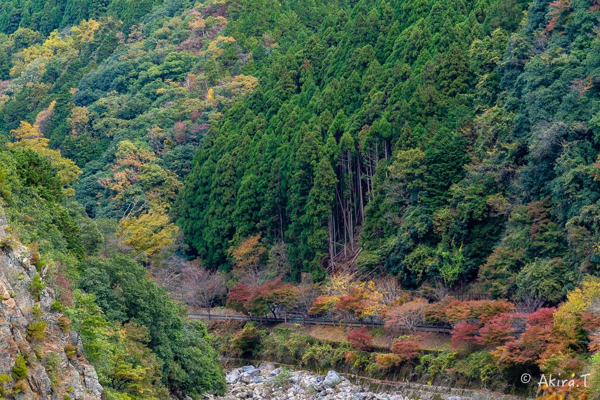 京都の紅葉 2018 〜16〜_f0152550_21552677.jpg