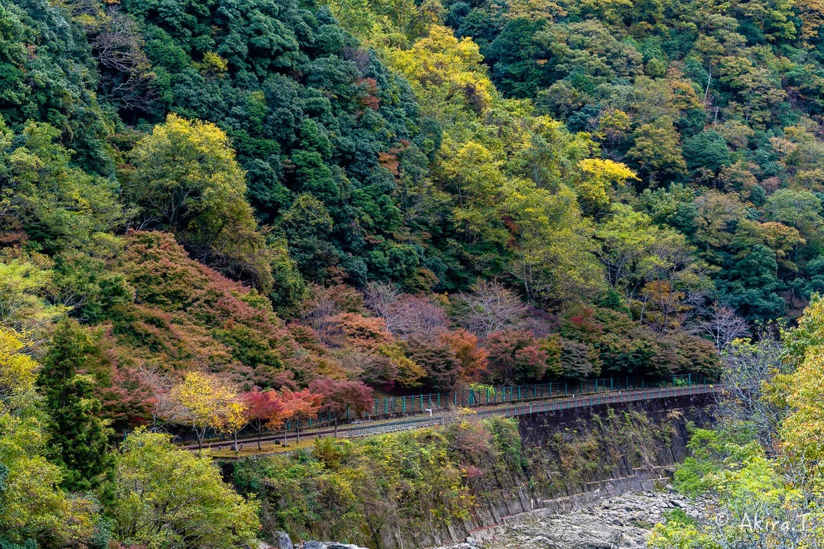 京都の紅葉 2018 〜16〜_f0152550_21553610.jpg