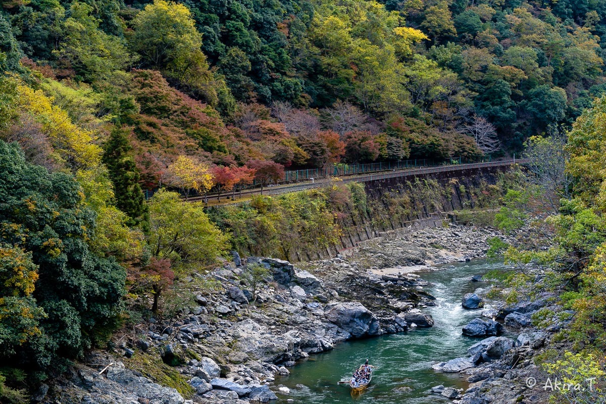 京都の紅葉 2018 〜16〜_f0152550_21560850.jpg