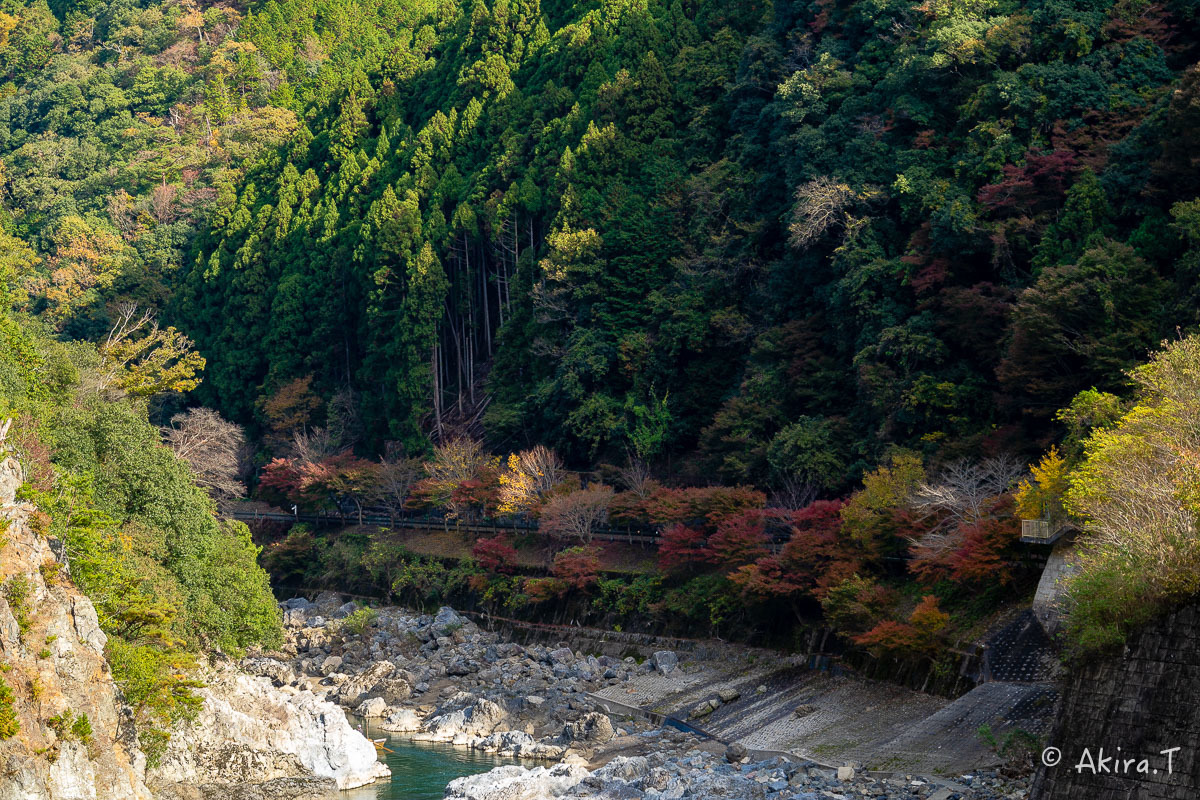 京都の紅葉 2018 〜16〜_f0152550_21575438.jpg