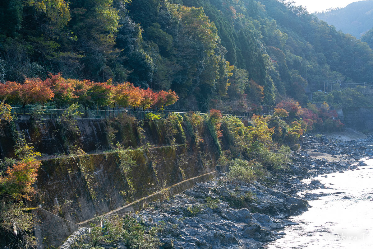 京都の紅葉 2018 〜16〜_f0152550_21595108.jpg