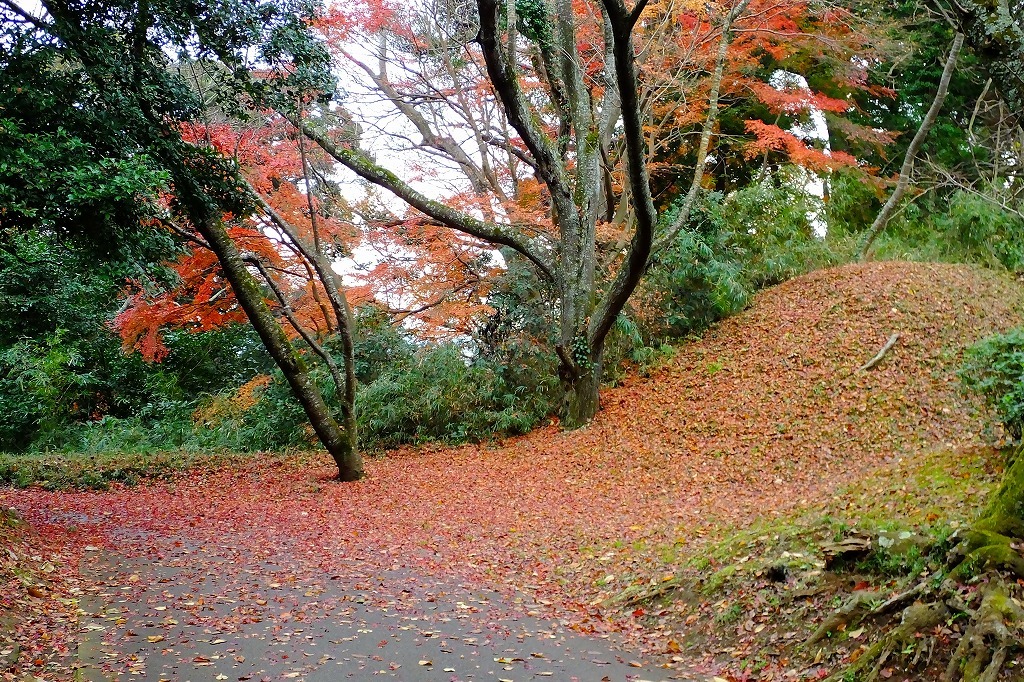 b0236251_11222075.jpg
