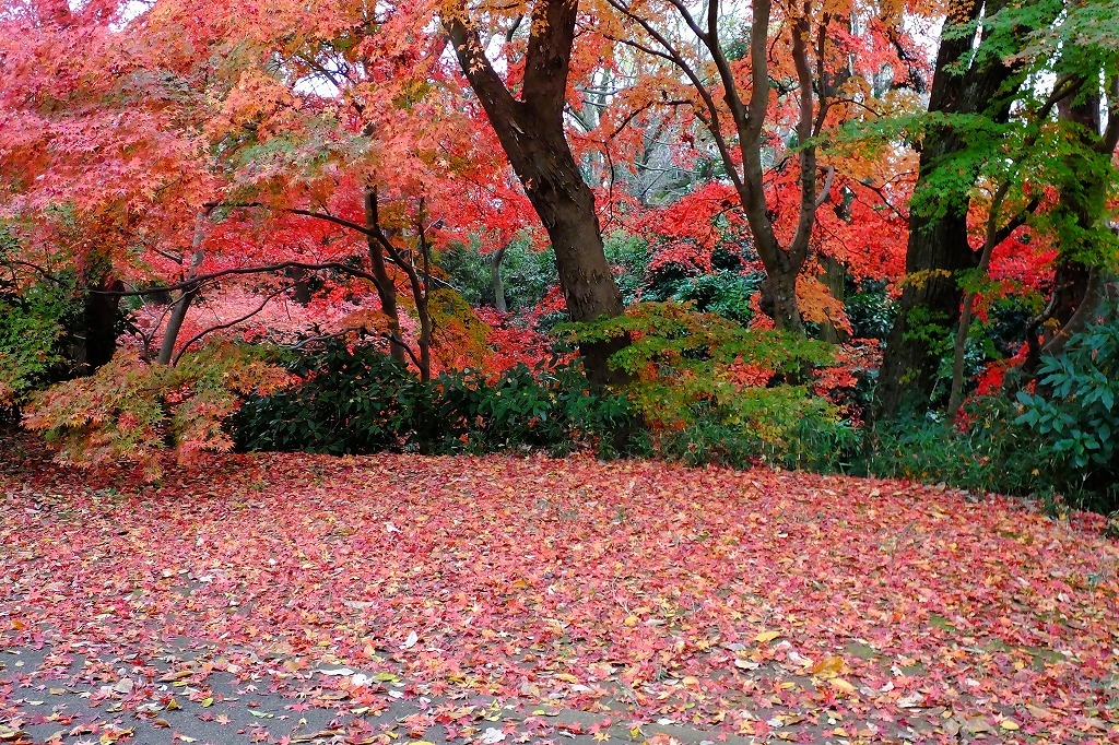 b0236251_11241086.jpg