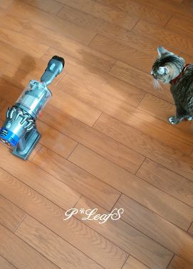 c0176651_15272245.gif
