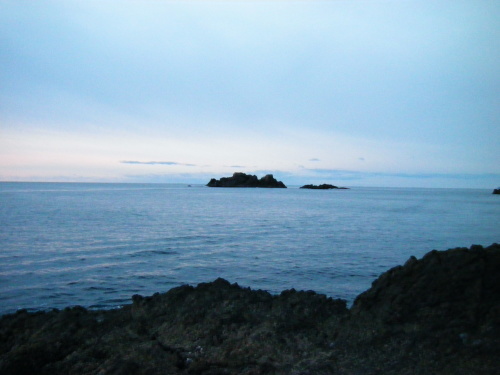 f0340851_20083871.jpg