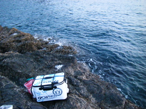 f0340851_20091509.jpg