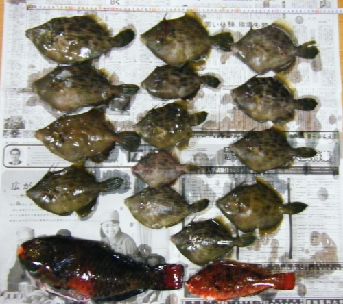 f0340851_21014801.jpg