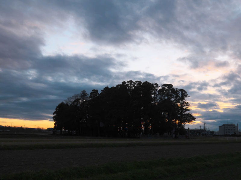 d0342652_19324495.jpg