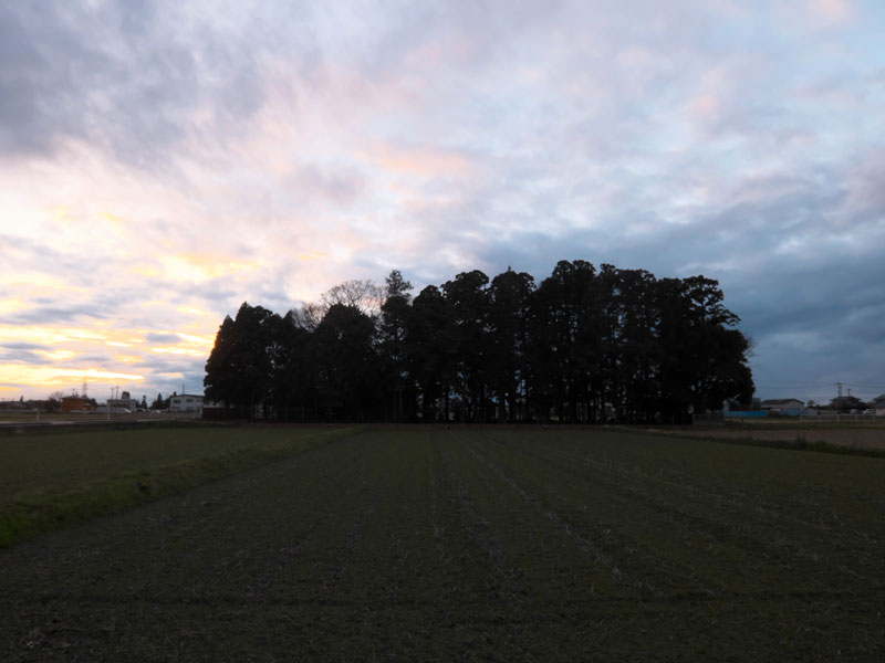 d0342652_1932978.jpg